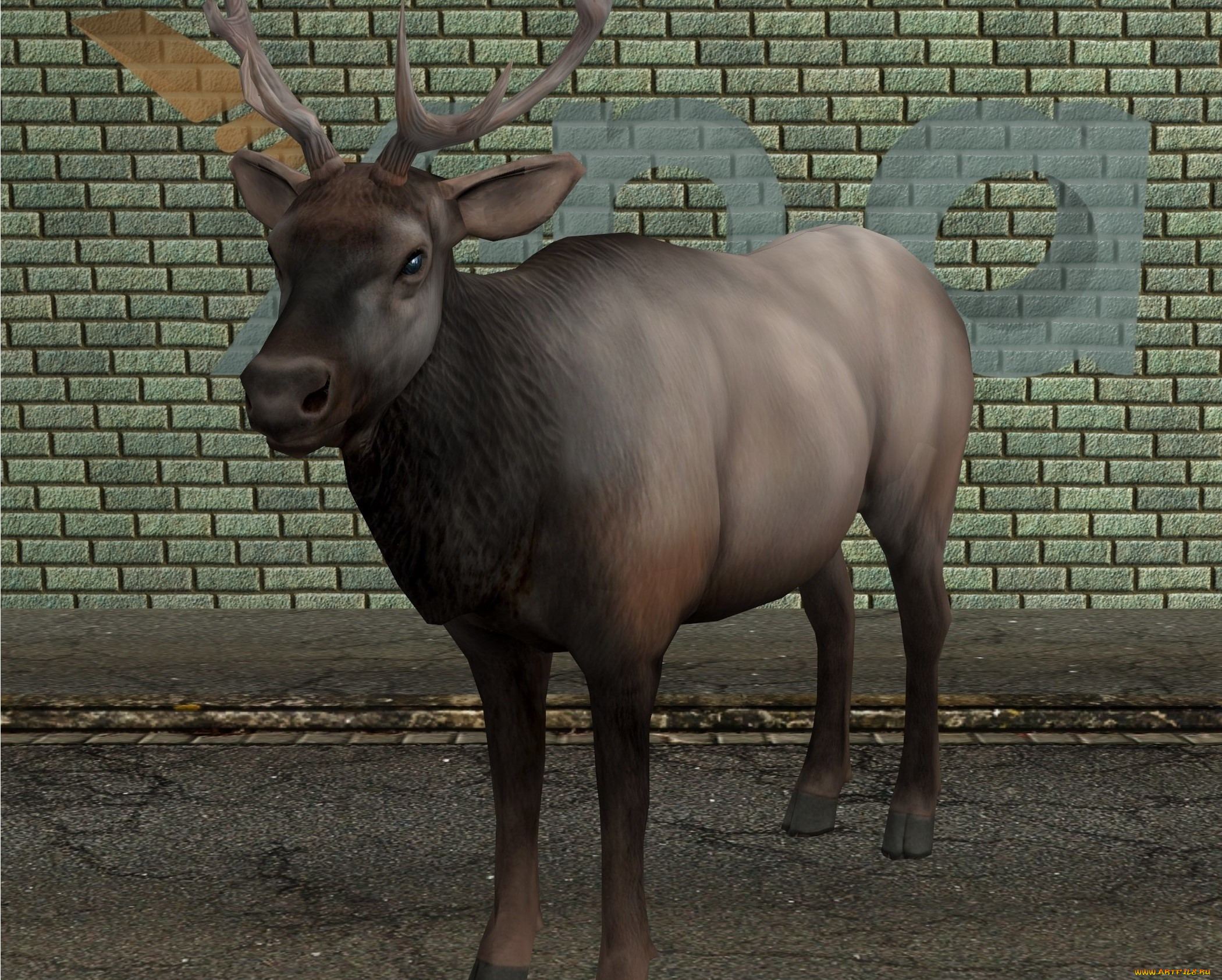 3 ,  , animals, , , 